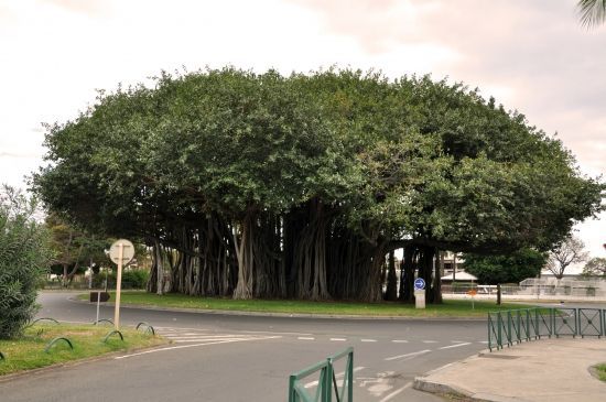 rond point le port